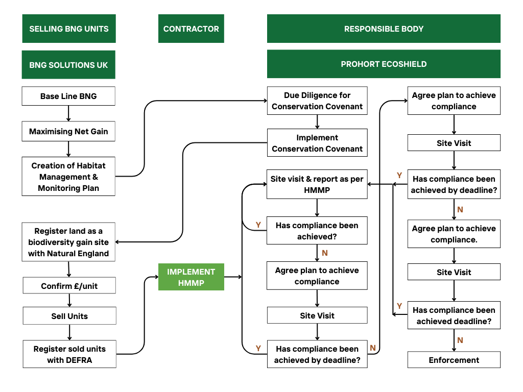 Our Process