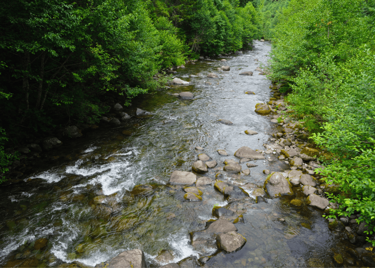 River
