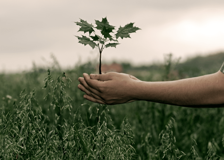 Man holding plant