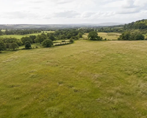 An aerial viewpoint of a field with an overcast sky