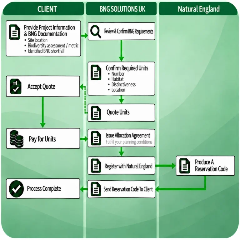 bng solutions process